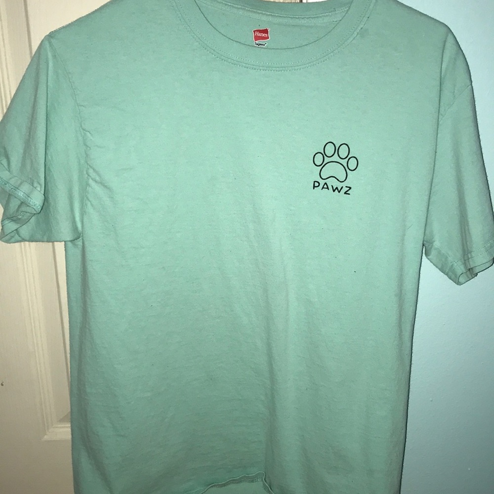 Teal short sleeved PAWZ tee